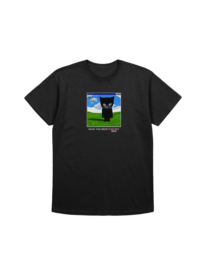 HAVE YOU SEEN BRO tee product image (1)