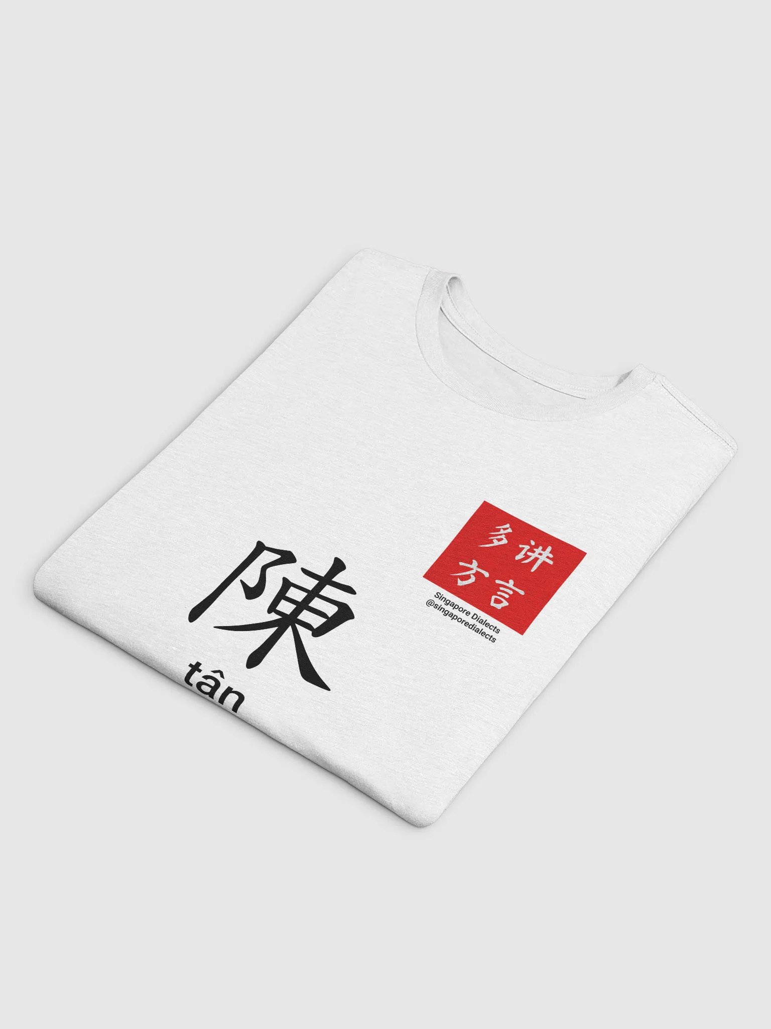 陈 Tan (Hokkien) Surname T-Shirt (Light) product image (4)