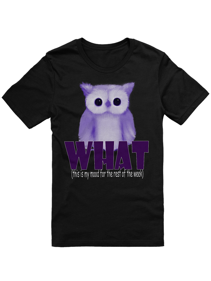 Whimsical Owl Mood T-Shirt product image (1)