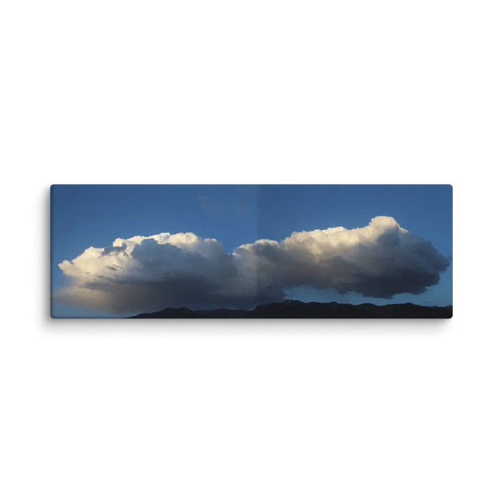 Fluffy - Canvas product image (1)