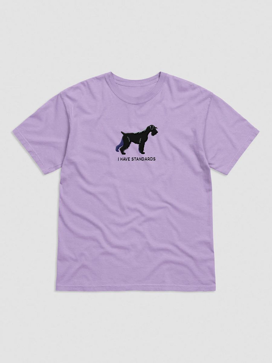 I Have Standards T-Shirt(Embroidered) of a Standard Schnauzer(Black) product image (33)