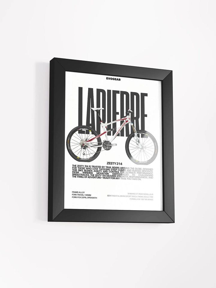 Lapierre ZESTY 314 2010 Frame product image (2)