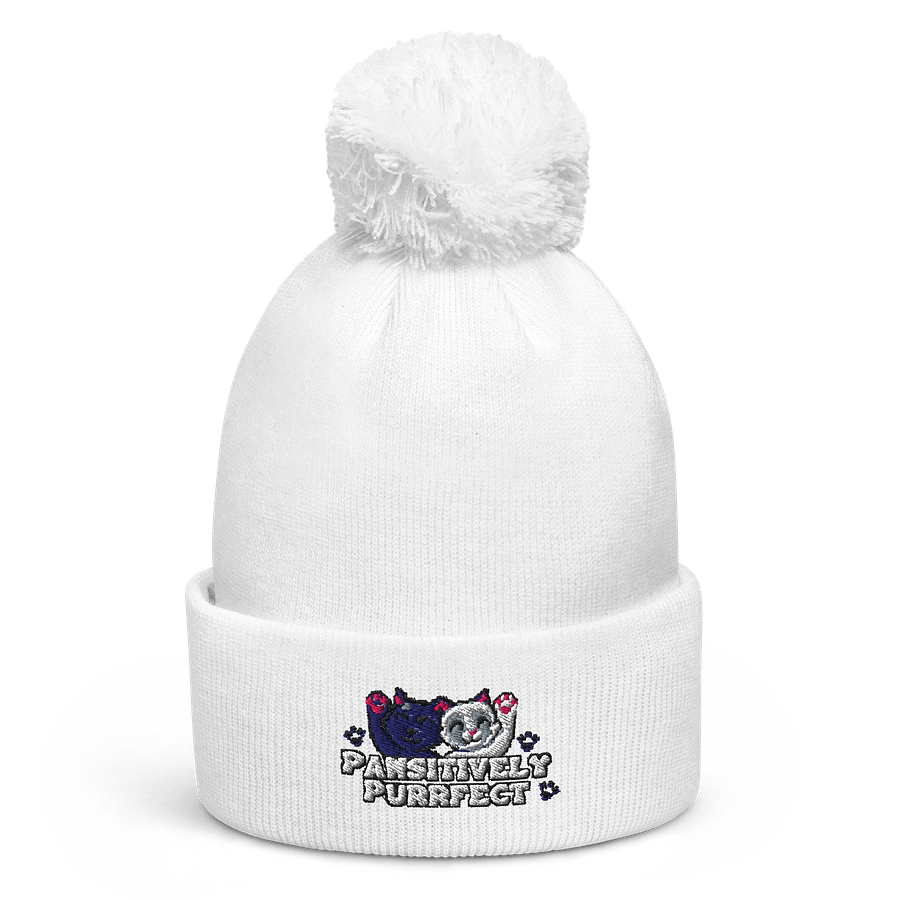 Pawsitively Purrfect Beanie product image (6)