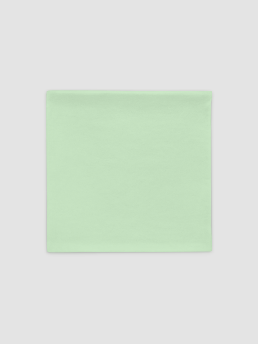 Pillow Case - Lan (Green) (Tower of Fantasy) product image (2)