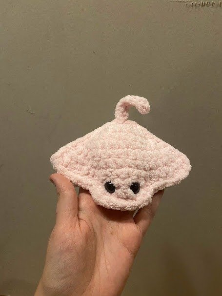 Manta Ray product image (9)