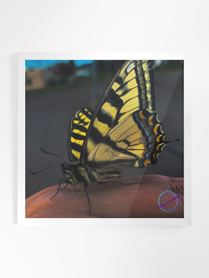 Chillin Butterfly product image (1)