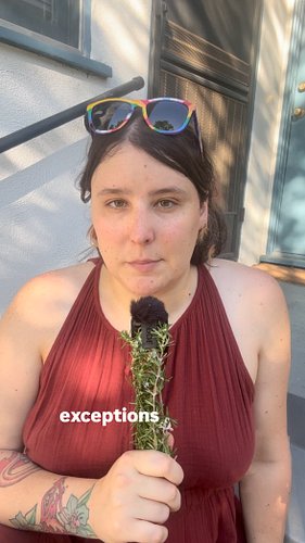 A specific video to come on “the exception that proves the rule”. Comment something if you see this! Idk tell me your favorit...