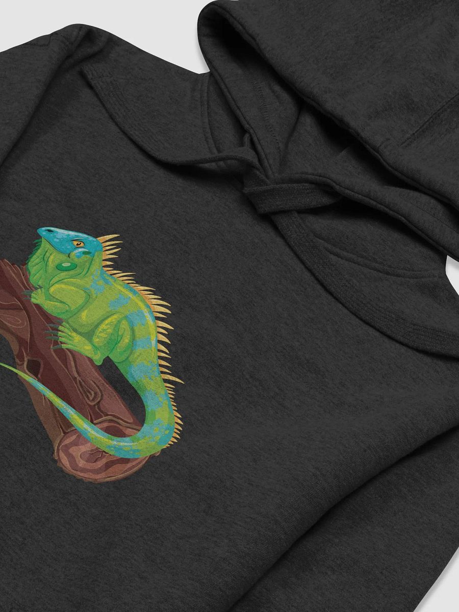Vibrant Iguana Resting Premium Hoodie product image (3)