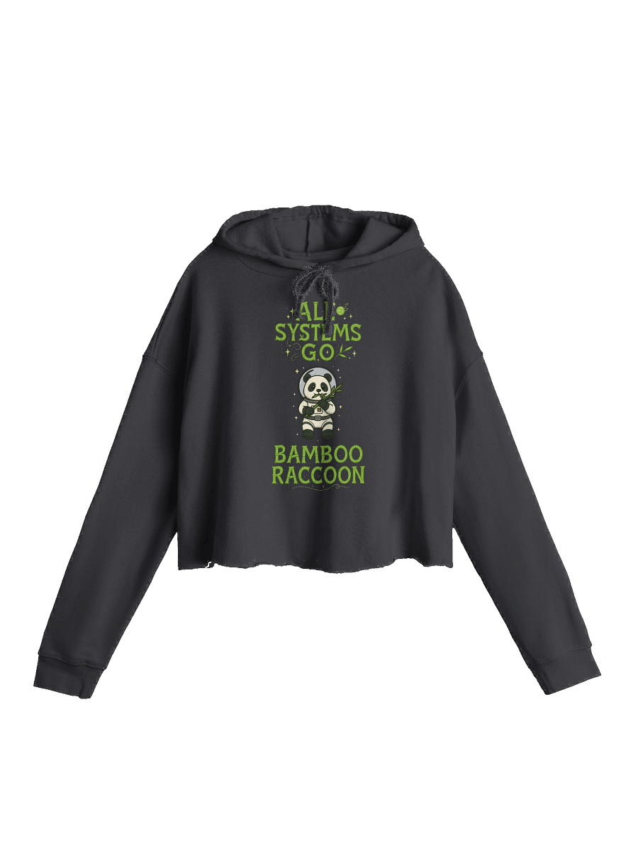 All Systems Go Bamboo Raccoon Crop Hoodie product image (1)