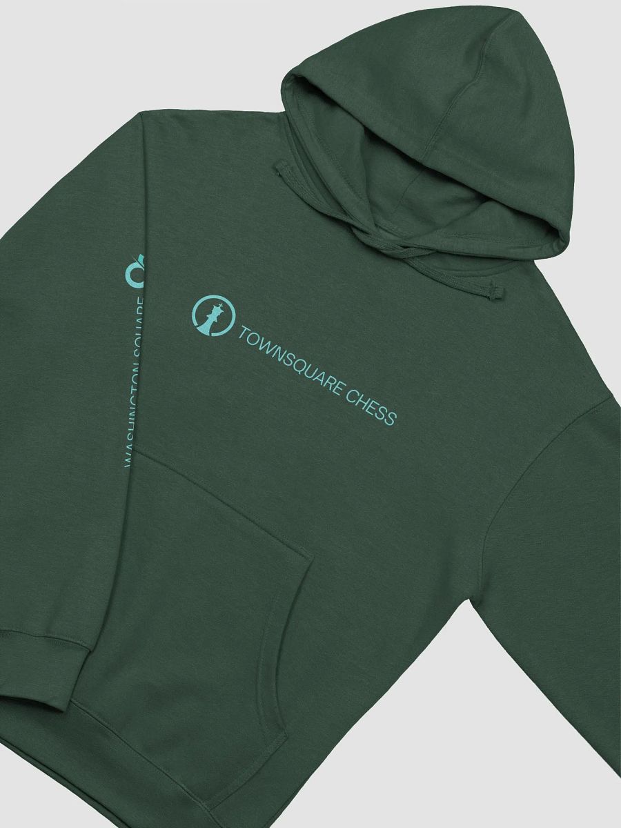 TownSquare Hoodie (Dark) | Wash Square Limited Edition product image (9)