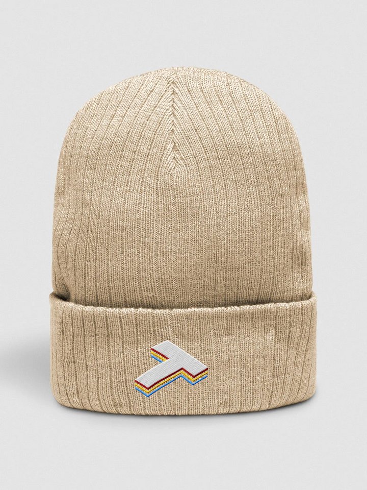 Terovr Logo - Beanie product image (1)
