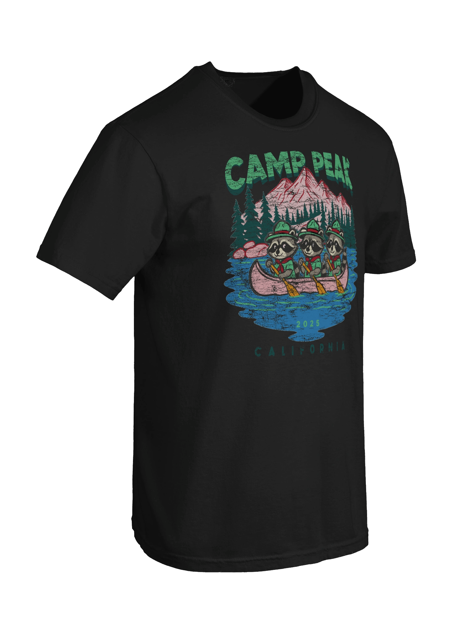 Raccoons on Canoes product image (8)