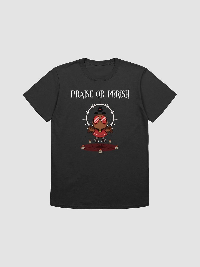 Vestments of the Cult