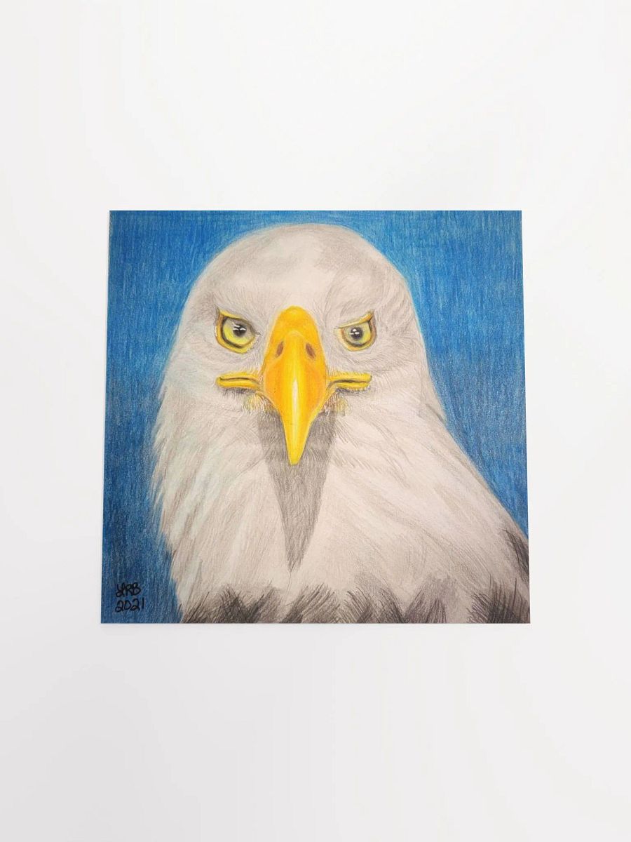 Bald Eagle Print product image (17)