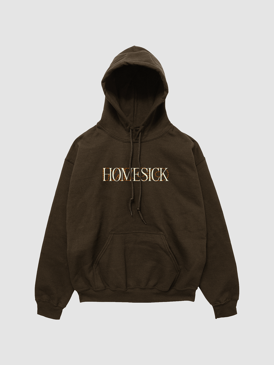 'HOMESICK' hoodie product image (1)