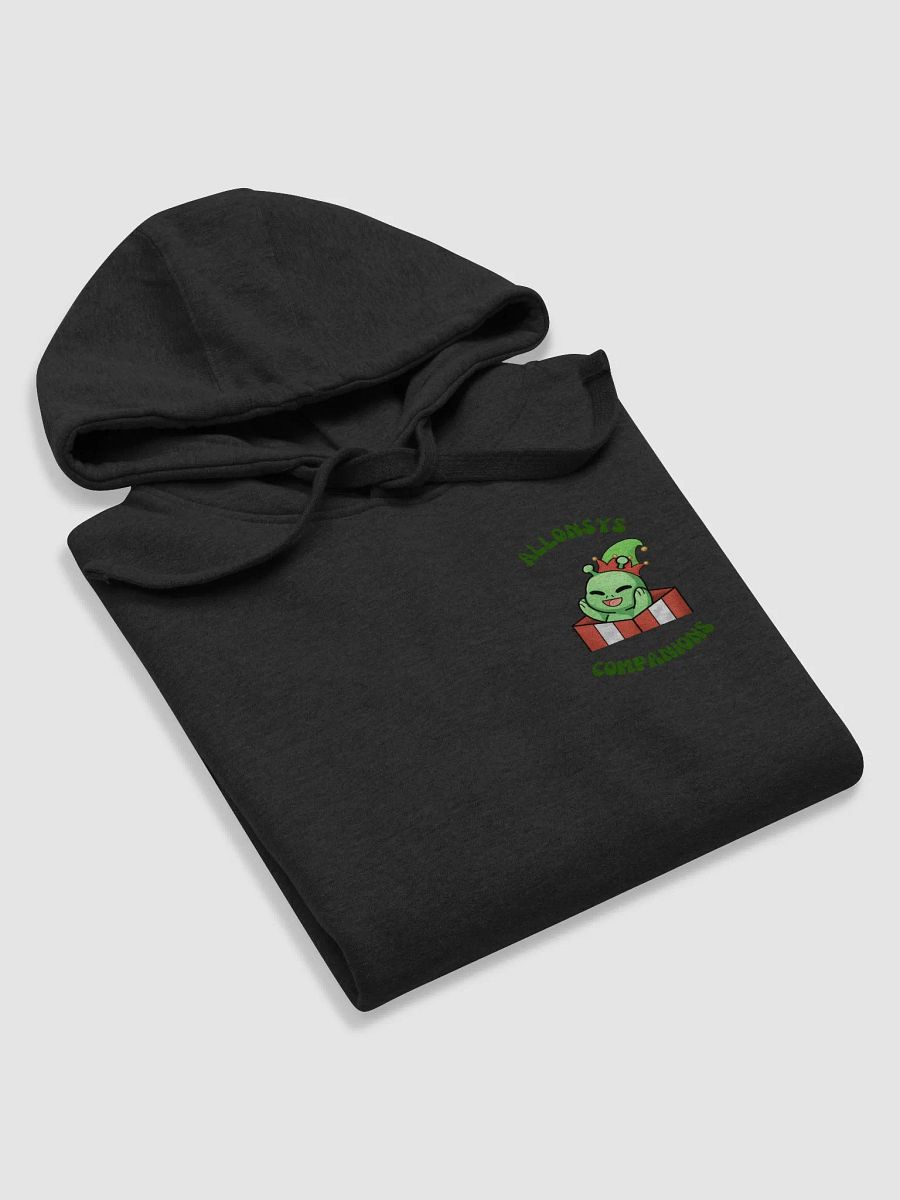 Allonsys Companions Hoodie product image (5)