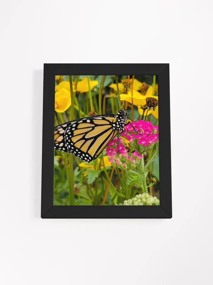 Tropical Monarch Butterfly Framed Matte Poster product image (2)