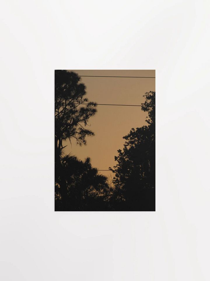 FL Orange Sky product image (2)
