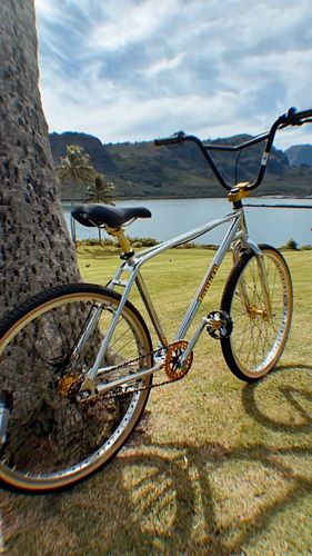 ‘Tis the season for sick ass bikes! Let’s gooo!!! @torkerbmx #torkerfreestyle
