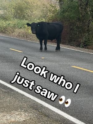 Send this to your friend so they know the truth  #share #momsoftiktok #joke #funny #friends 