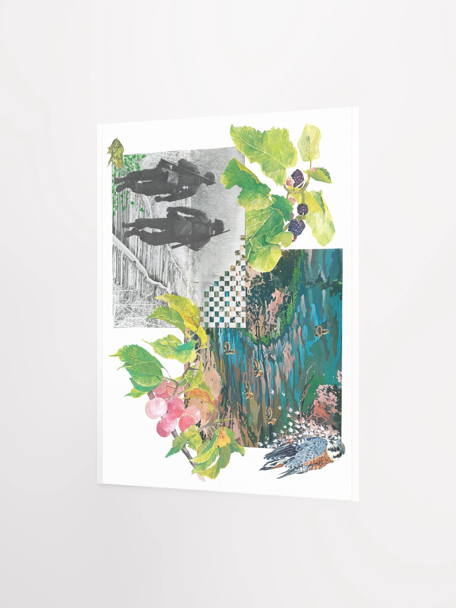 Nature's Cycles (horizontal) product image (2)