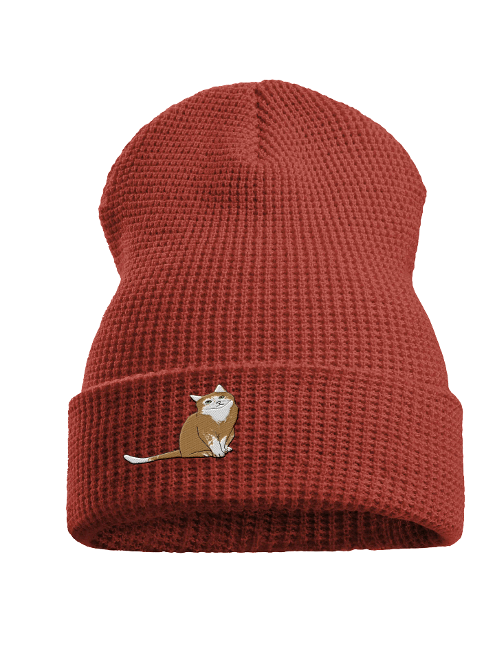 Orange Cat Waffle Beanie product image (1)