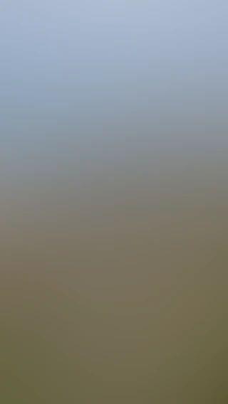 Video thumbnail background