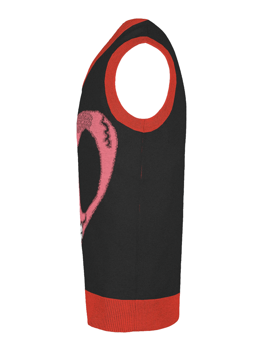RED HEART.X product image (4)