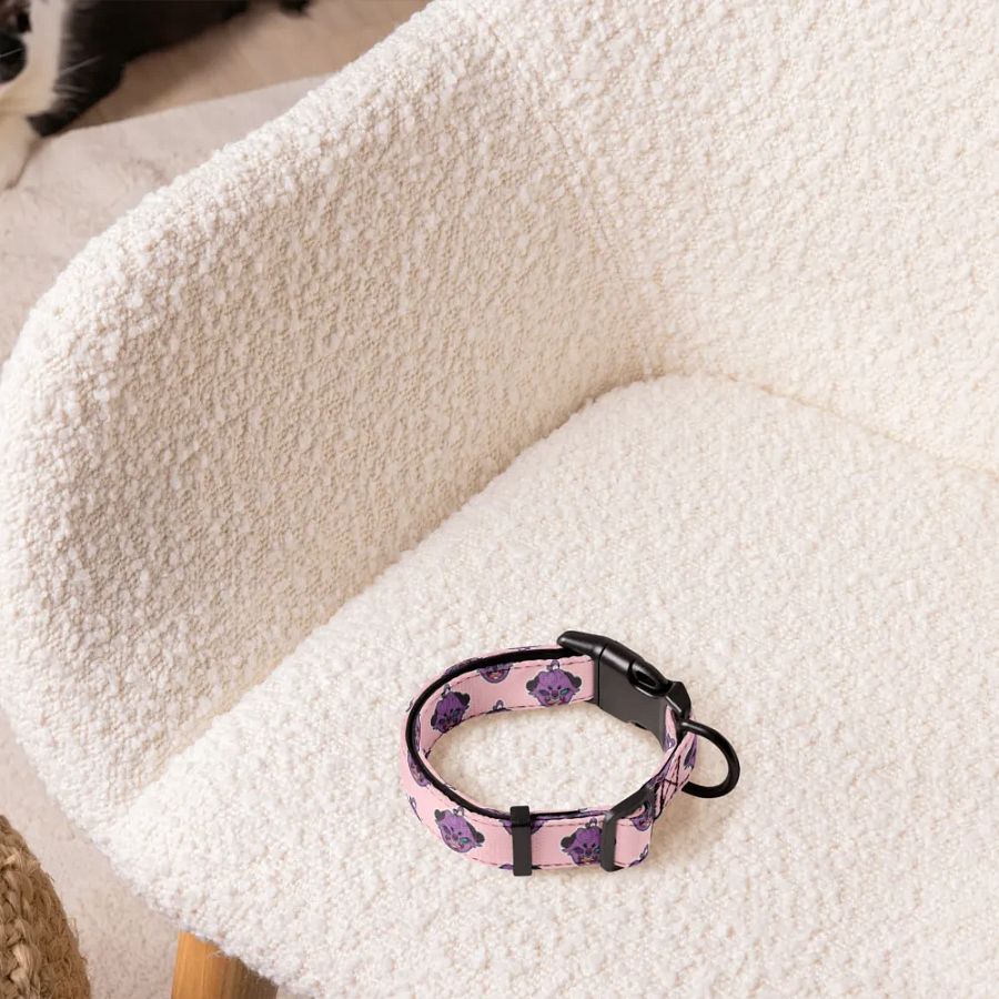 NaniOtter Pet Collar product image (5)