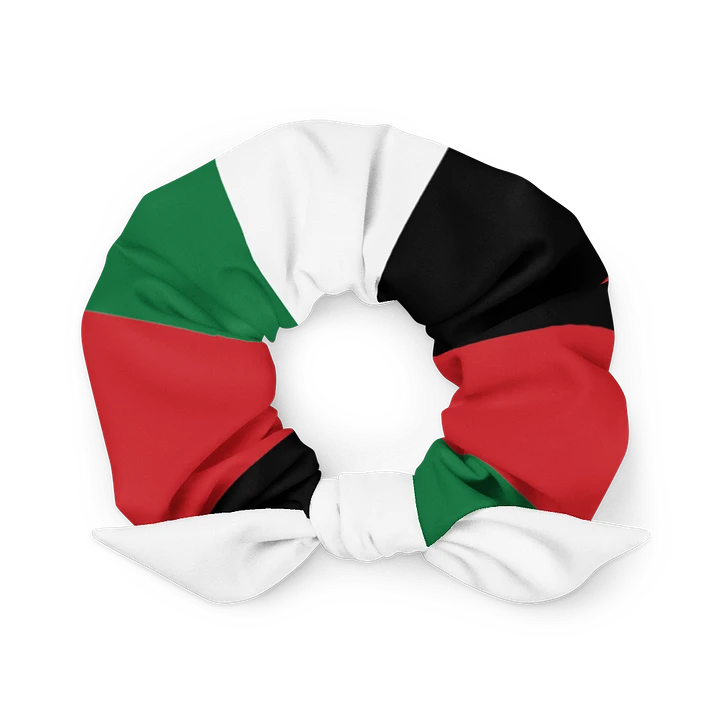 Palestine - Scrunchie product image (1)