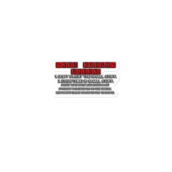 Synisisms - 2 Rules Magnet product image (1)