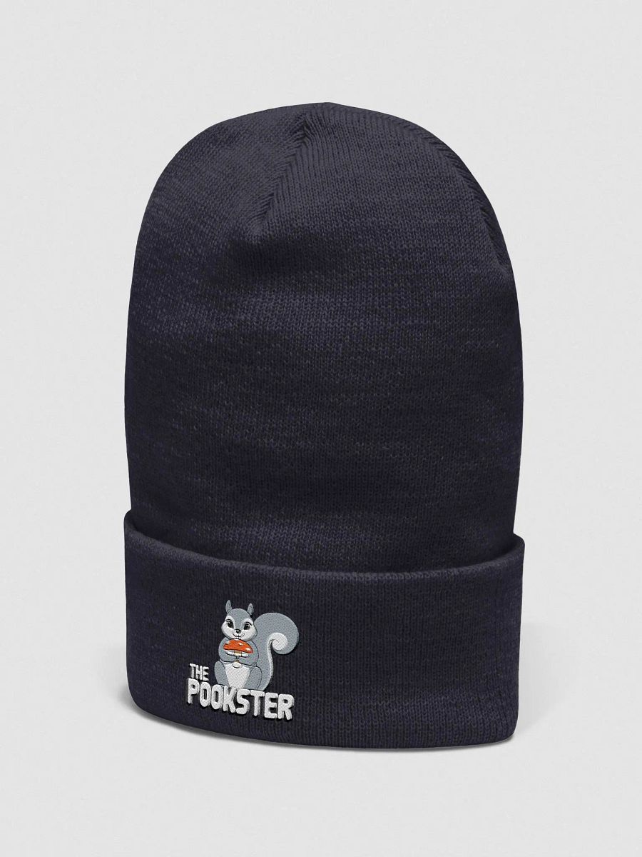 The Pookster Cuffed Beanie product image (2)