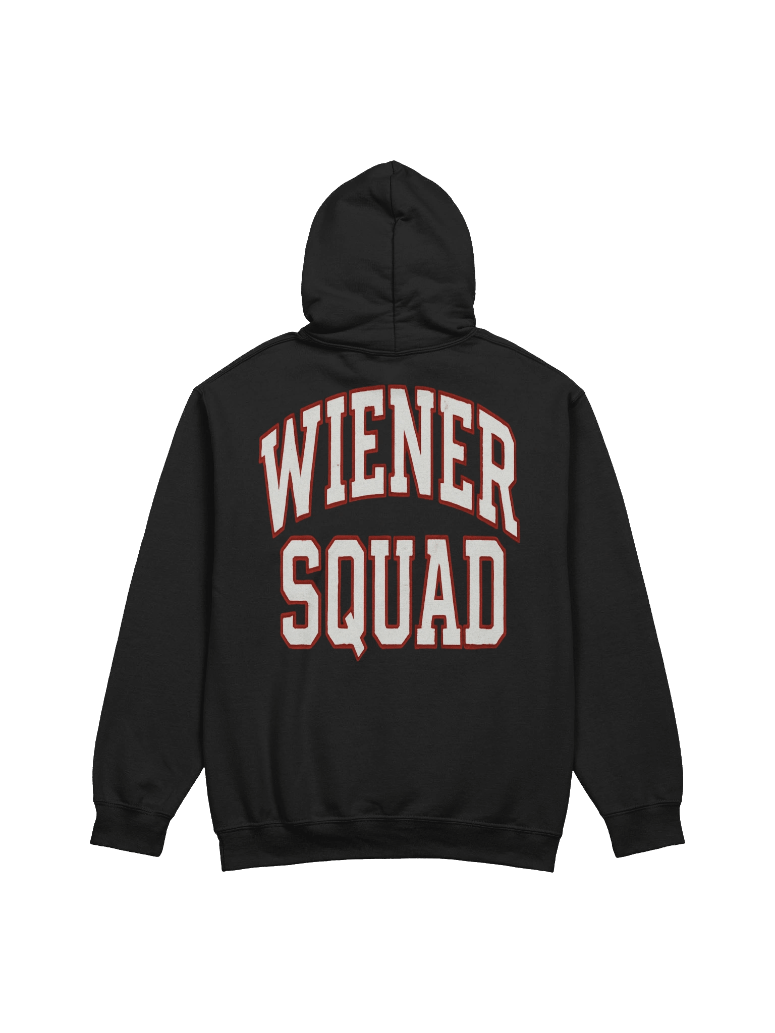 Wiener Squad Varsity Dachshund Hoodie product image (4)