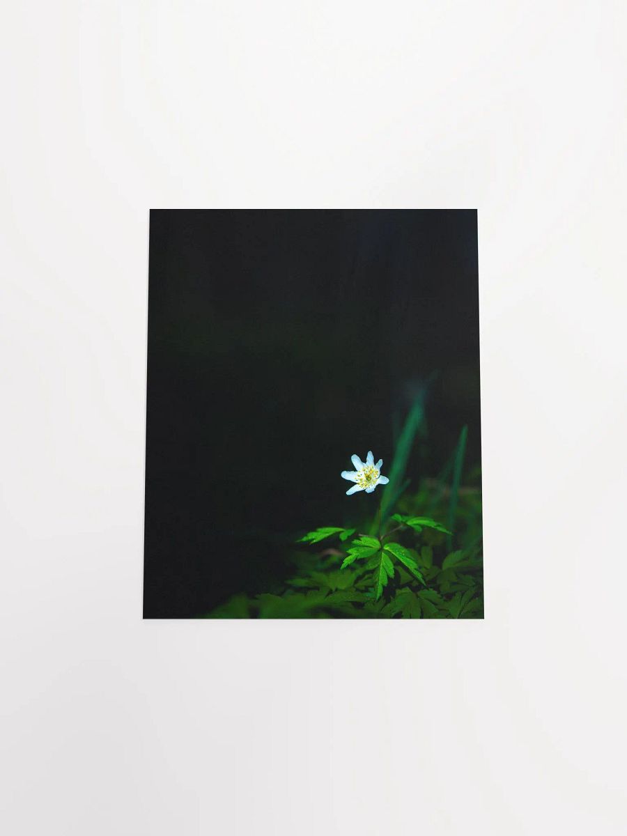 Alone in the dark product image (11)