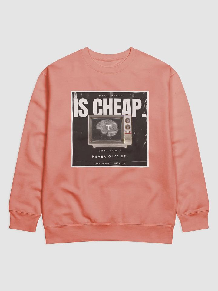 Intelligence is cheap. product image (2)