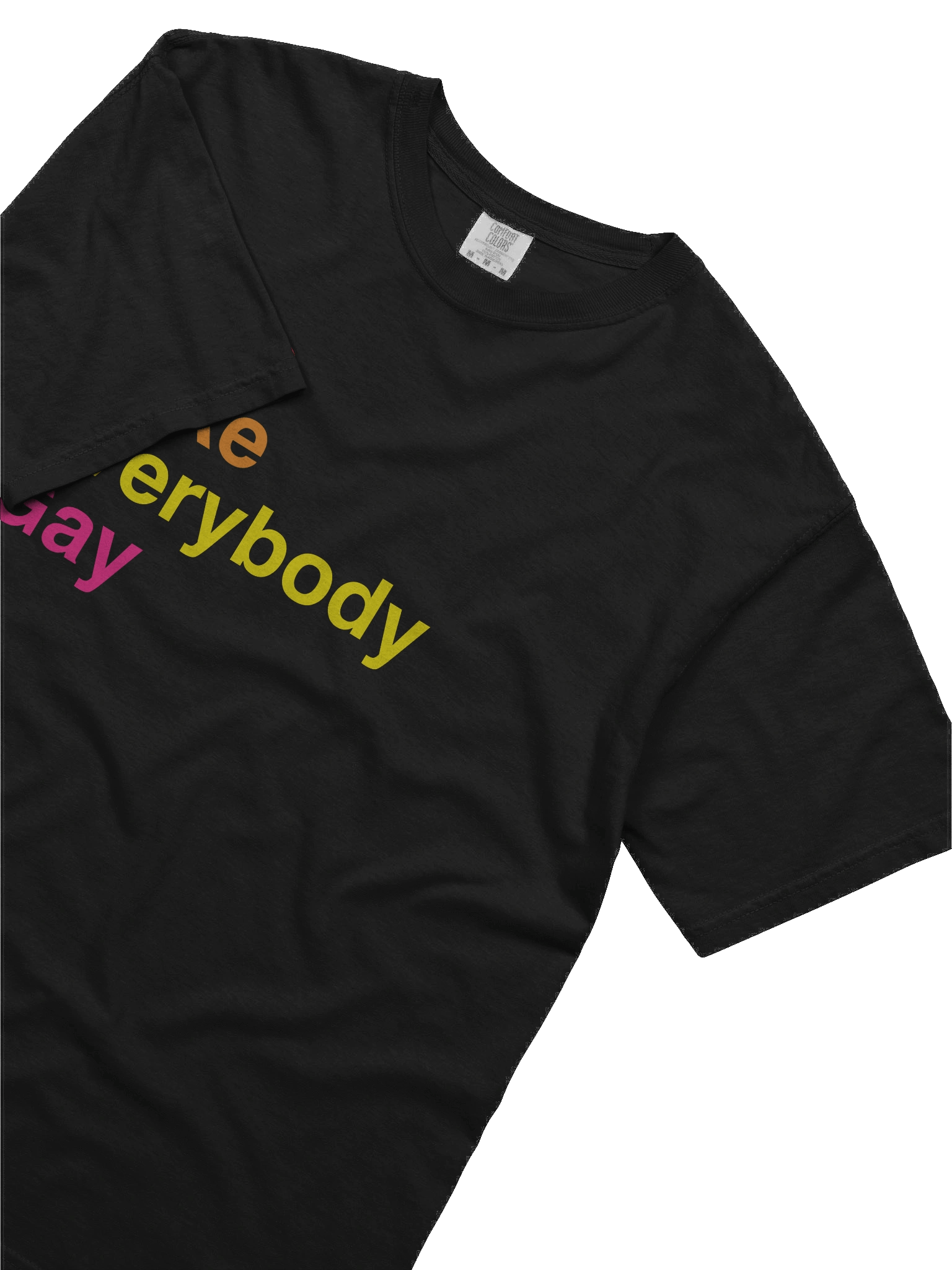 Let's Make Everybody Gay! product image (5)