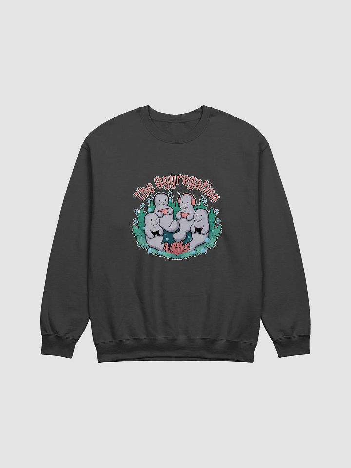 The Aggregation Crew Neck product image (3)