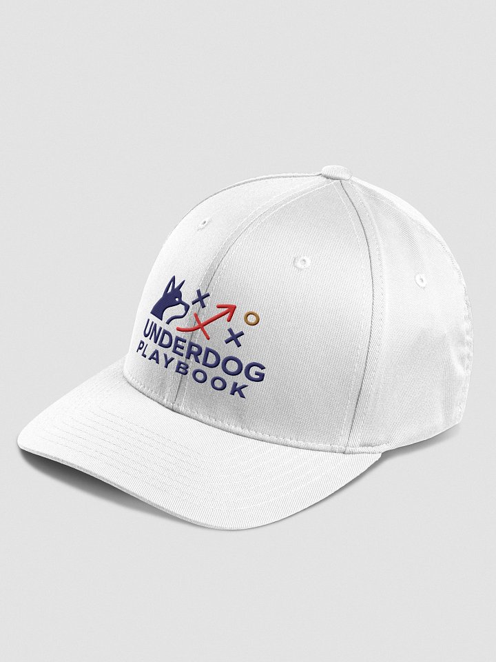 The Playmaker Cap product image (30)