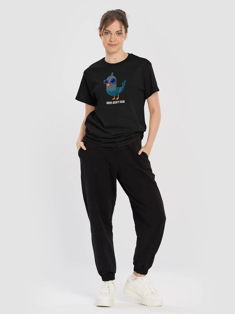 Birds Aren't Real product image (36)