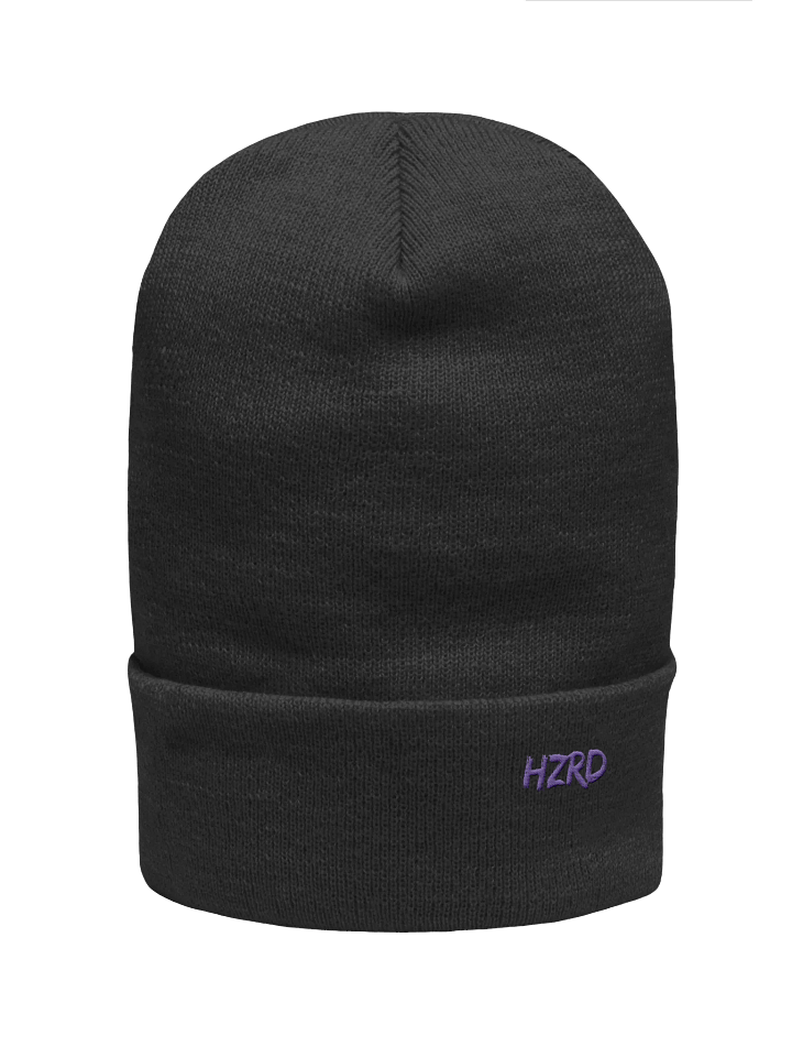 HZRD Beenie product image (1)