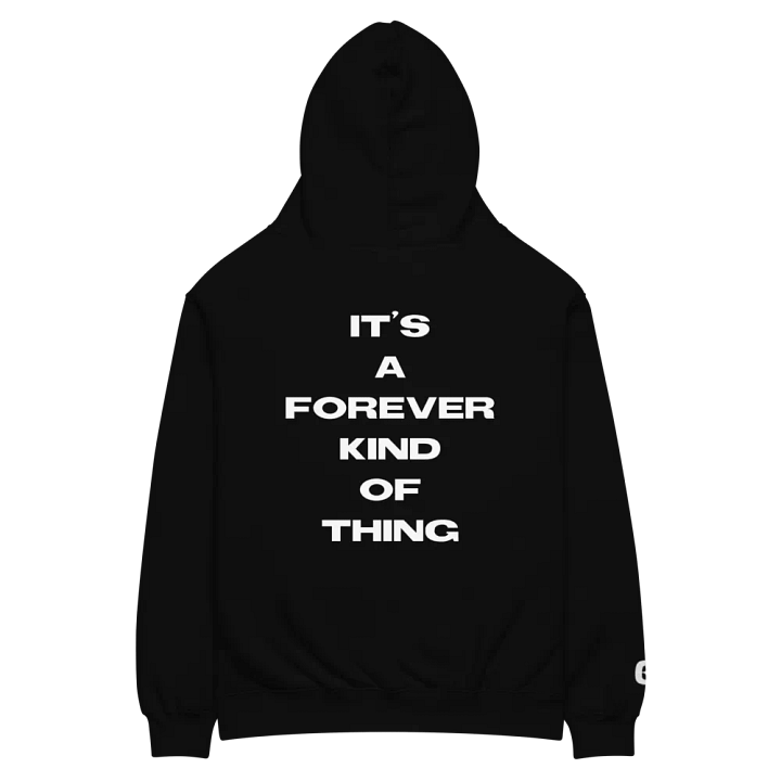 Chronical Forever Hoodie product image (2)