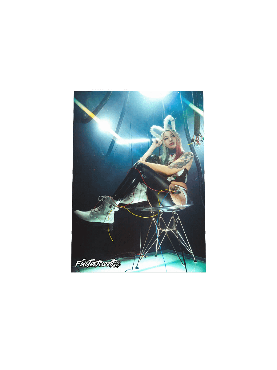 FIND THE RABBIT MATTE POSTER PRINT product image (4)
