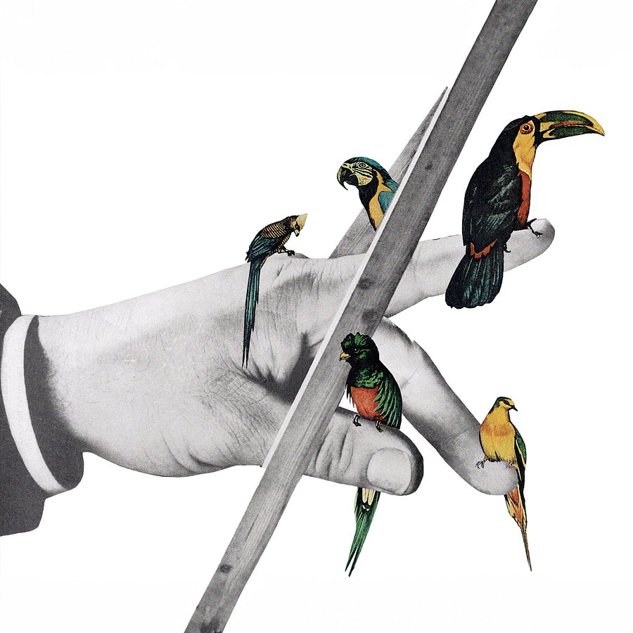 Flight Art Print product image (1)