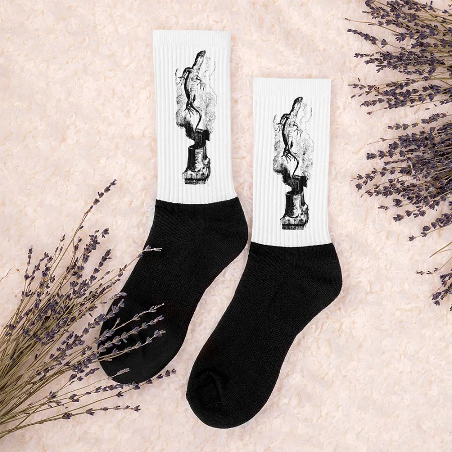 Chimney Lizard Black Foot Socks - Alice Collection product image (3)
