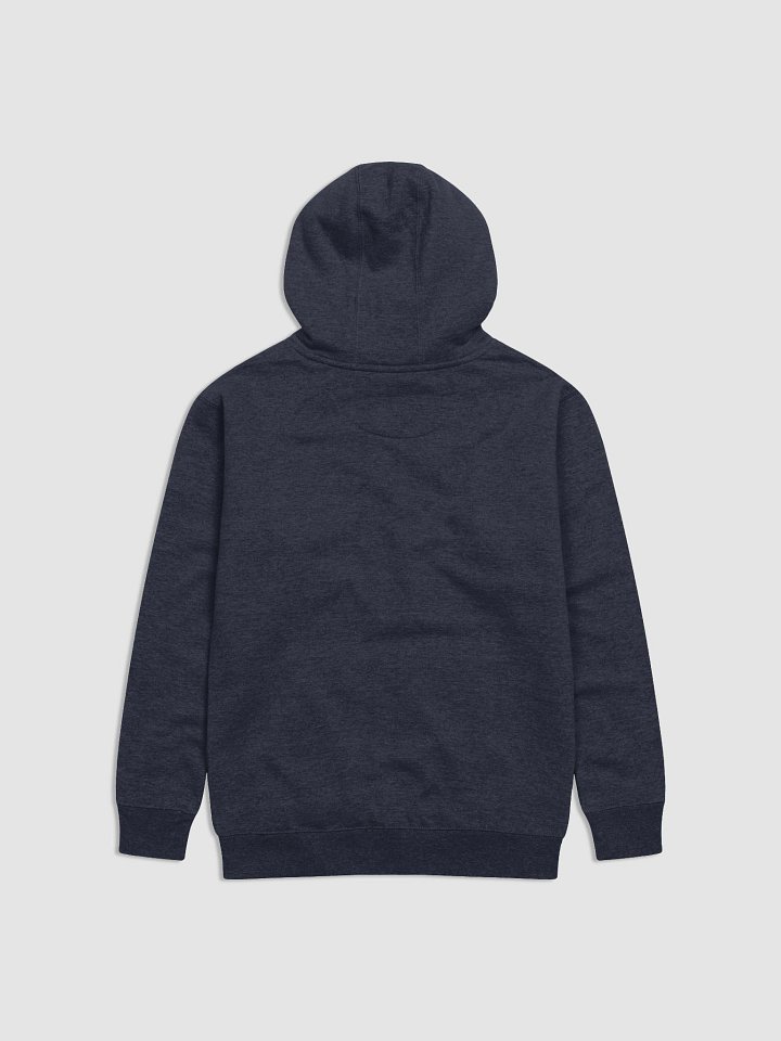 Club Qigong Premium Hoodie product image (21)