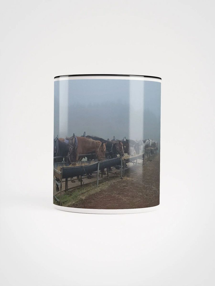 Jeju Island Unesco fog Korean horses resting product image (10)