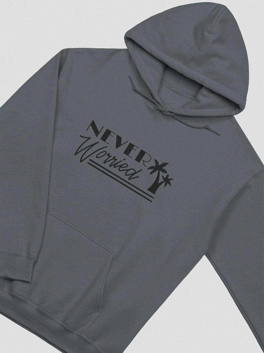 Never Worried Gildan Hoodie product image (12)