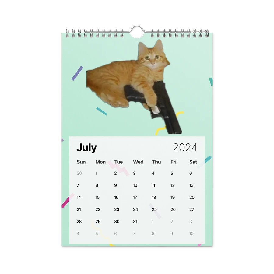 Wall Calendar (2024): Meme Cats product image (10)