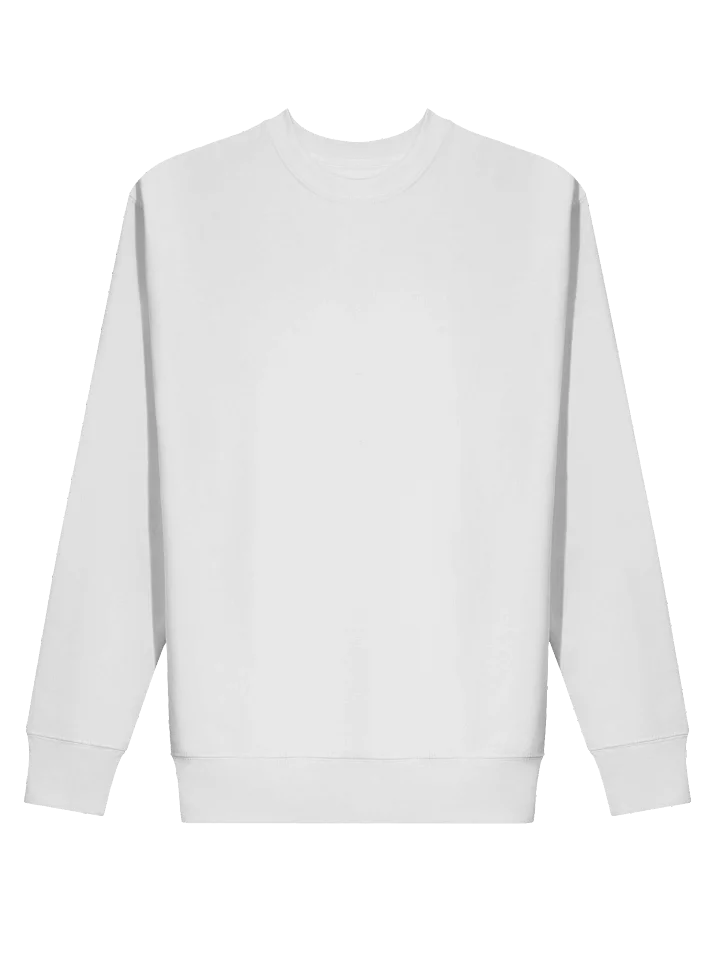 ZERO F*S GIVEN – Bold Skate Logo Parody** product image (2)