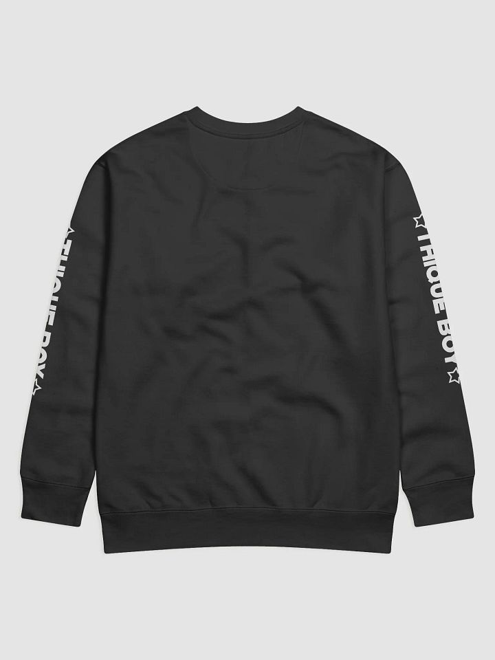 Thique Boy Sweater product image (2)